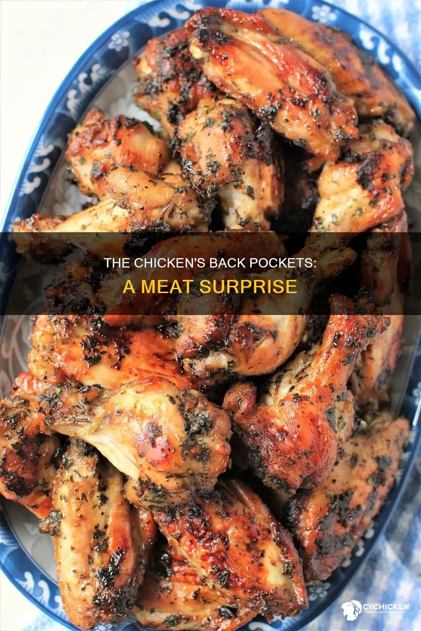 what are the two pockets of meat back of chicken