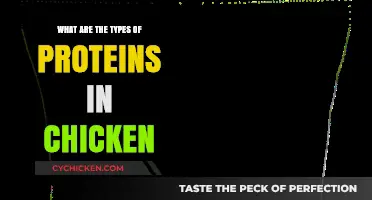 Exploring the Diverse Types of Proteins Found in Chicken