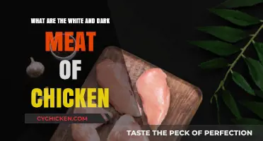 Chicken Meat: Understanding the White and Dark Mystery