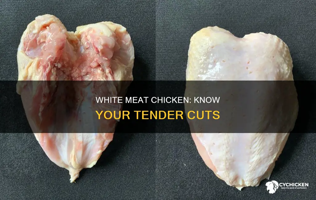 what are the white meat parts of a chicken