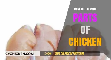 Understanding the White Parts of Chicken: Nutrition, Texture, and Uses