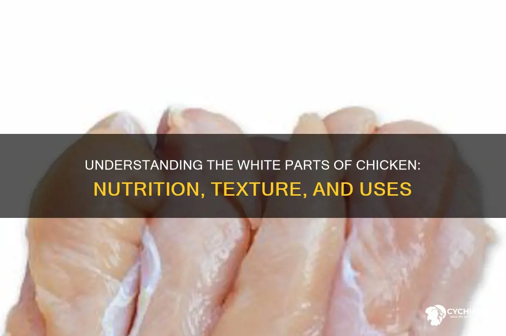 what are the white parts of chicken