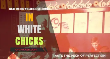 Wilson Sisters: Unveiling the Names in White Chicks