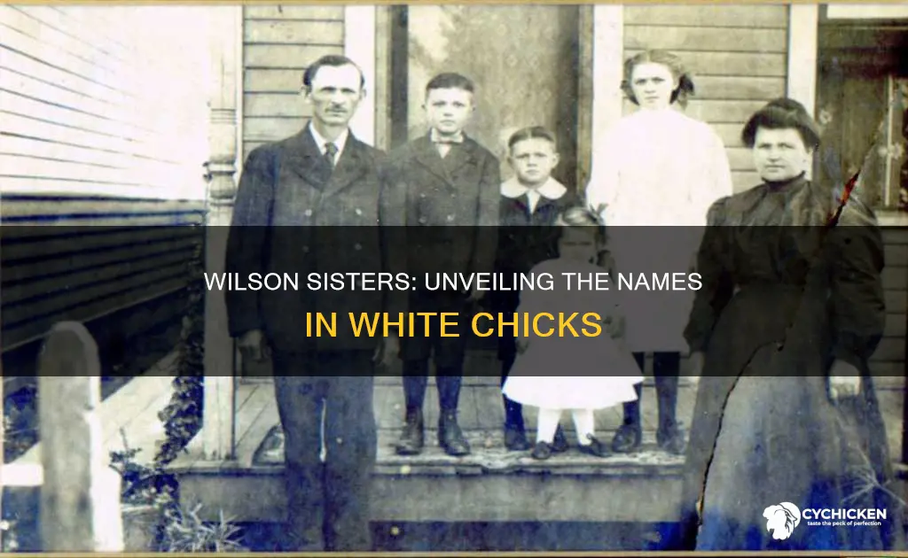 what are the wilson sisters names in white chicks