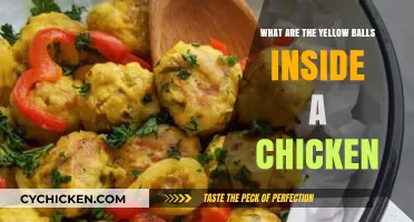 Unveiling the Mystery: What Are the Yellow Balls Inside a Chicken?
