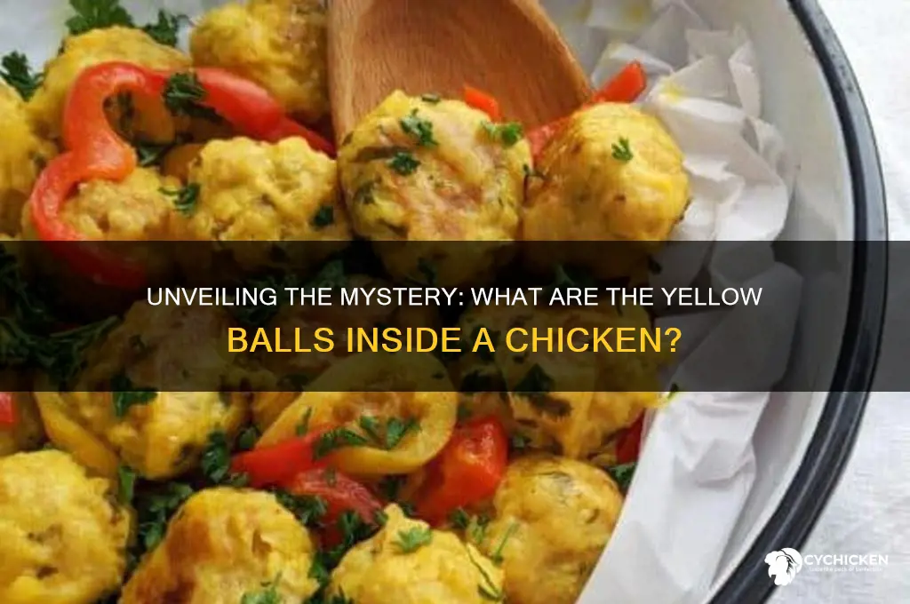 what are the yellow balls inside a chicken