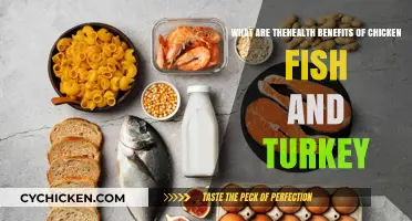 Lean Protein Power: Chicken, Fish, and Turkey Benefits