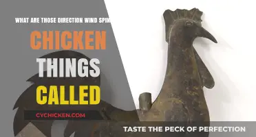 Spinning Chicken Things: What's the Deal?