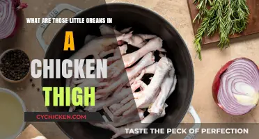 Unveiling the Mystery: Tiny Organs in Chicken Thighs Explained