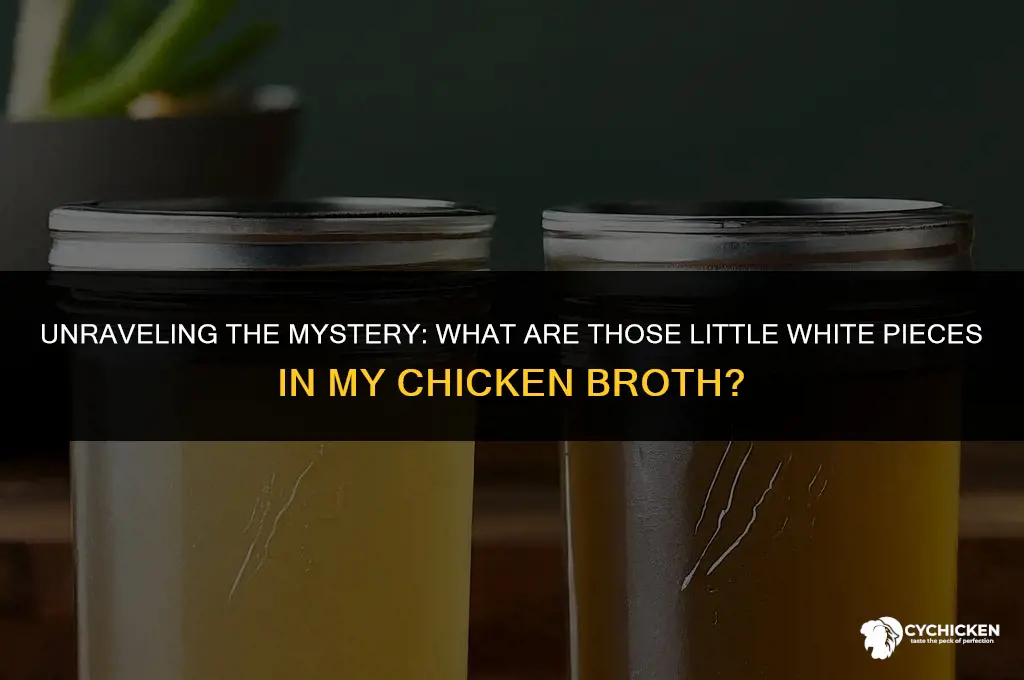 what are those little white pieces in my chicken broth