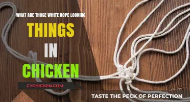 Unraveling the Mystery of Chicken Tendons