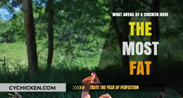 Exploring Chicken Fat: Where Does it Hide?