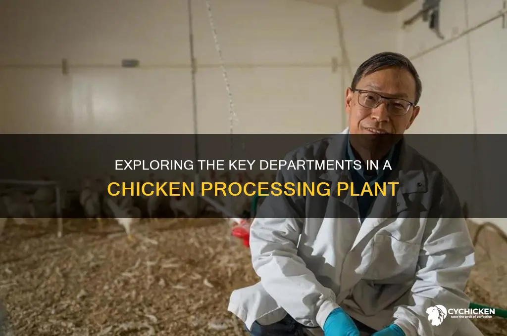 what arw the departments in a chicken plant