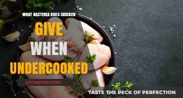 Undercooked Chicken Risks: Bacteria Threats and Food Safety Concerns