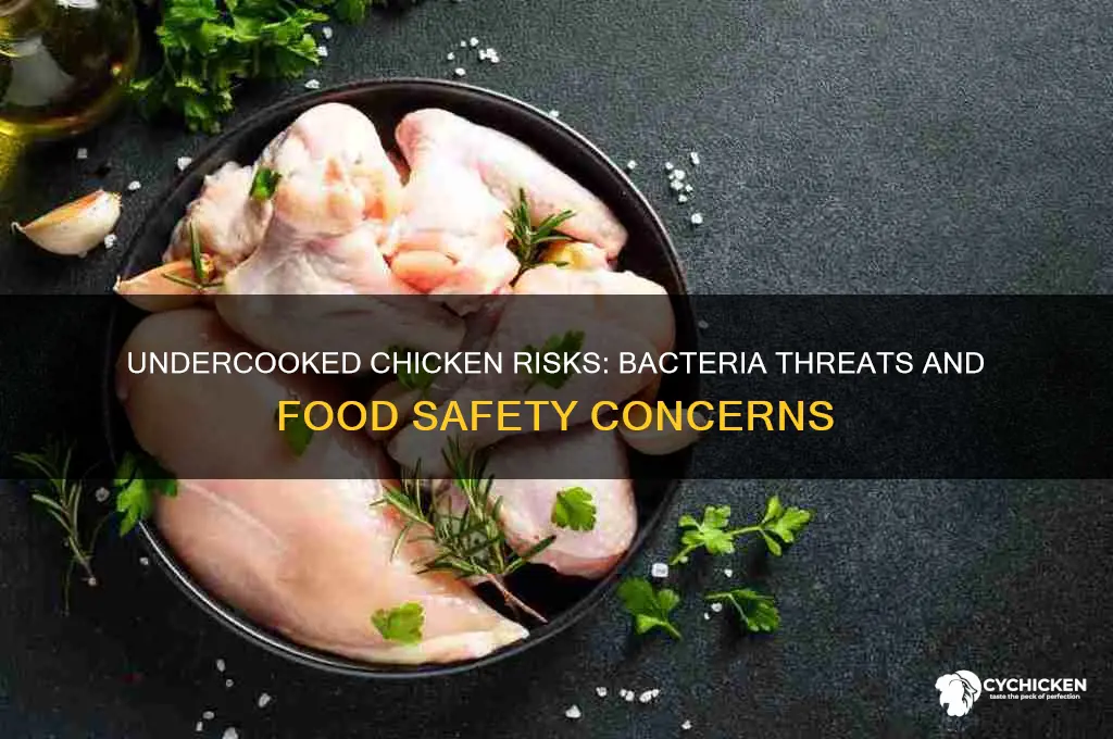 what bacteria does chicken give when undercooked