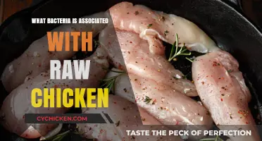 Raw Chicken Risks: Common Bacteria You Should Know About
