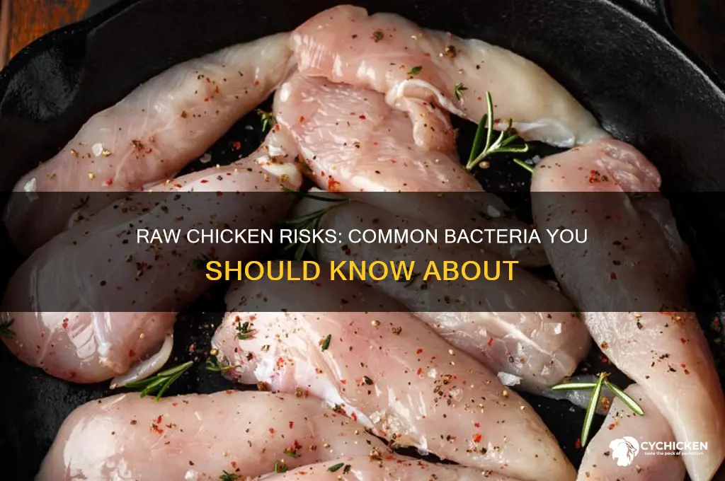what bacteria is associated with raw chicken