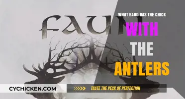 Who is the Antler-Adorned Female Musician and Her Band?