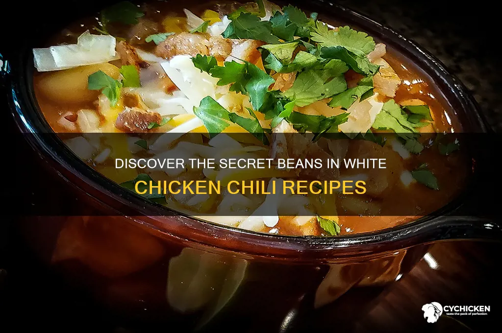 what beans are in white chicken chili