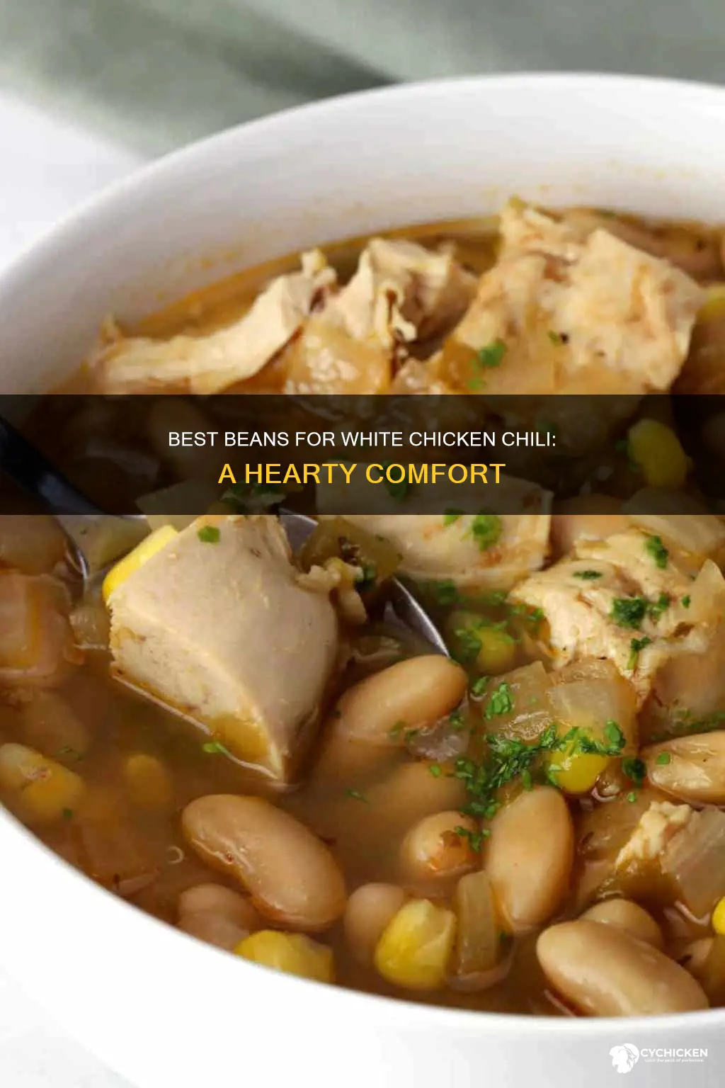 what beans go in white chicken chili with beans