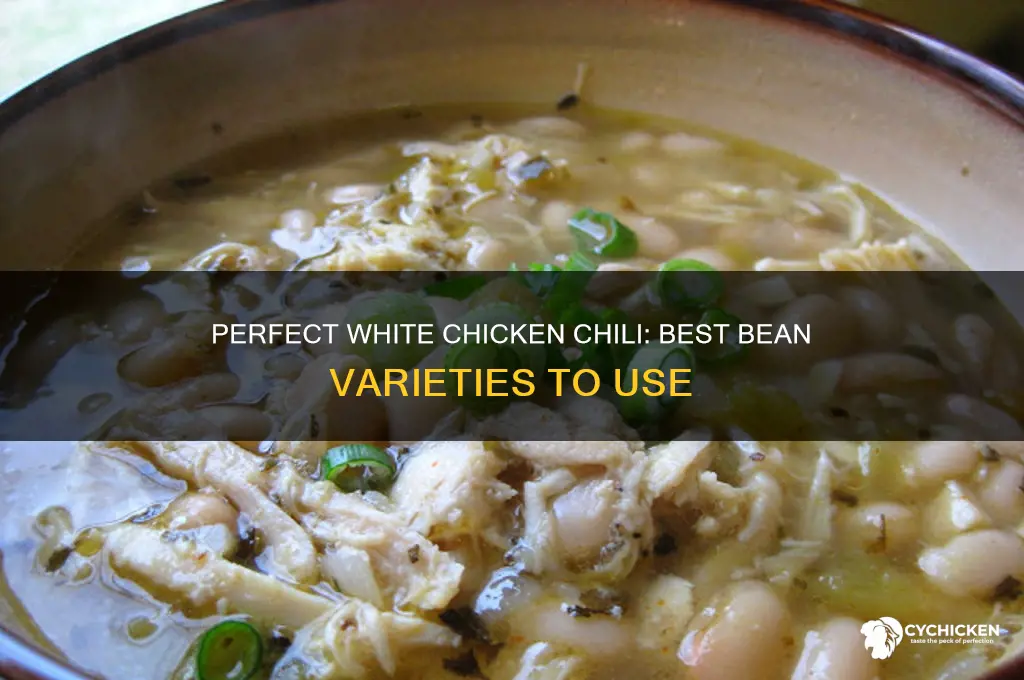 what beans go into white chicken chili
