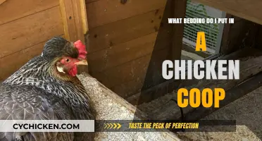 Cozy Quarters: Selecting the Perfect Bedding for Your Chicken Coop