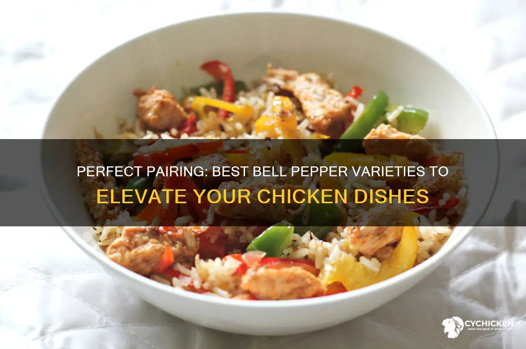 what bell pepper is best whith chicken