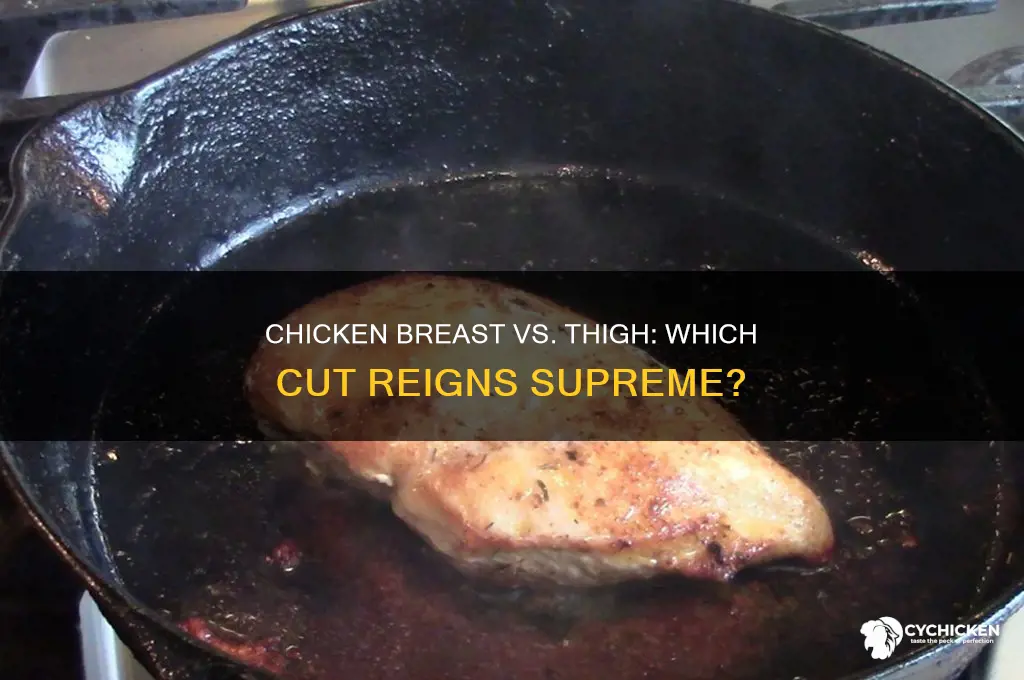 what best chicken breast or thigh
