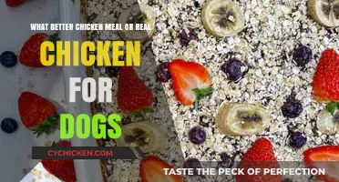 Chicken Meals vs Real Chicken: Which is Better for Dogs?