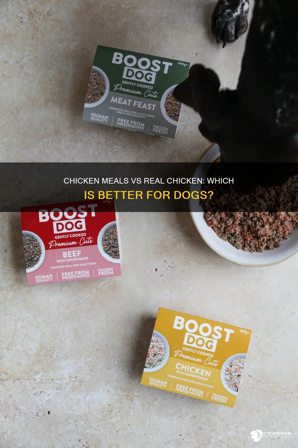 what better chicken meal or real chicken for dogs