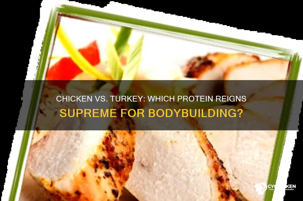 what better for bodybuilding chicken or turkey