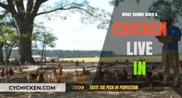 Where Do Chickens Thrive? Exploring Their Natural Biome Habitat