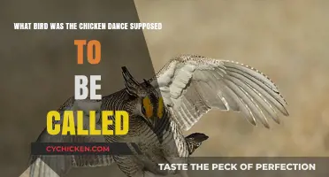 The Chicken Dance: What Bird Was it Meant For?