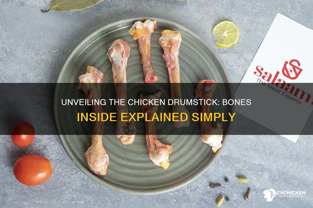 what bones are in a chicken drumstick