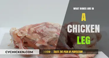 Understanding the Bones in a Chicken Leg: A Detailed Breakdown
