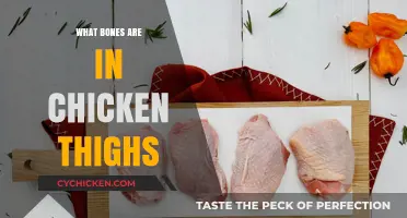 Chicken Thigh Bones: Anatomy, Uses, and Cooking Tips Explained