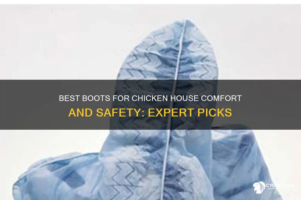 what boots are recommended for chicken houses