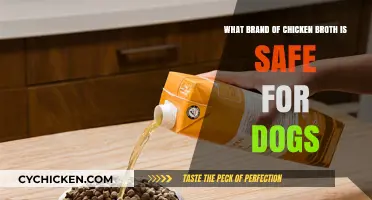 Safe and Tasty: The Best Chicken Broth Brands for Your Dog