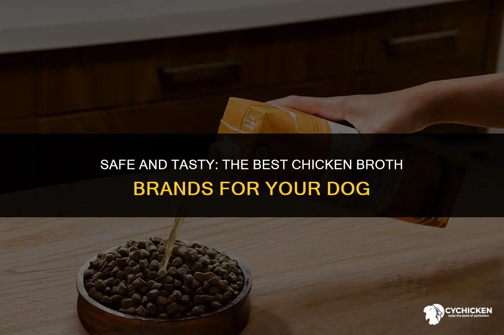 what brand of chicken broth is safe for dogs
