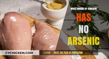 Arsenic-Free Chicken Brands: Safe and Healthy Options for Your Family