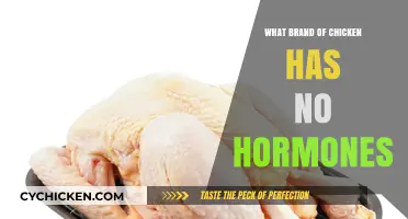 Hormone-Free Chicken: Discover the Brand That Prioritizes Natural Growth