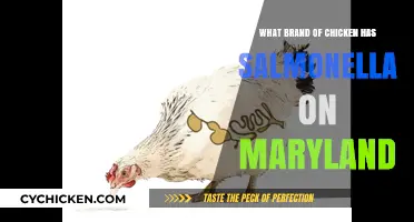 Maryland Chicken Salmonella Outbreak: Which Brand Should You Avoid?
