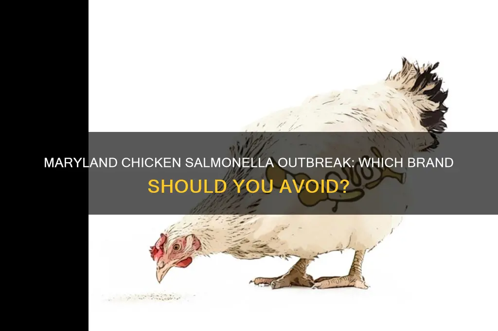 what brand of chicken has salmonella on maryland