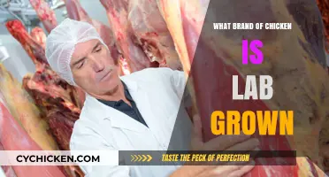Lab-Grown Chicken: Which Brand is Leading the Cultured Meat Revolution?