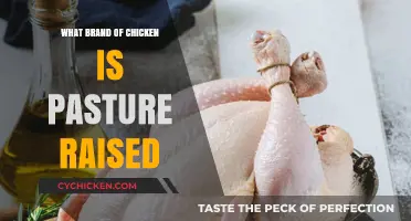 Discover the Best Pasture-Raised Chicken Brands for Healthy Eating