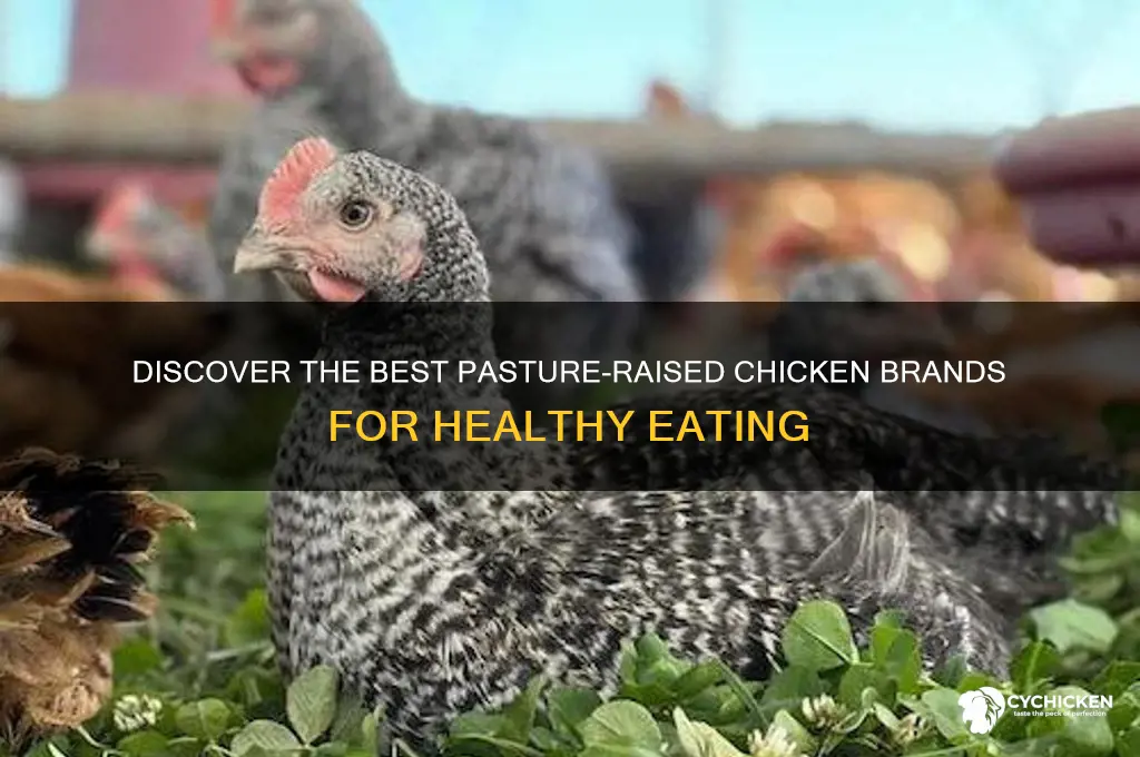 what brand of chicken is pasture raised