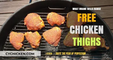 Discover Top Brands Selling Range-Free Chicken Thighs for Healthy Meals