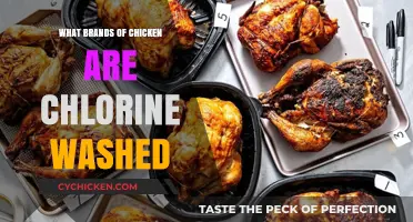 Chlorine-Washed Chicken: Which Brands Use This Controversial Process?