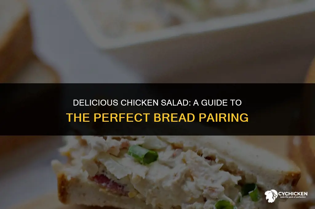 what bread for chicken salad