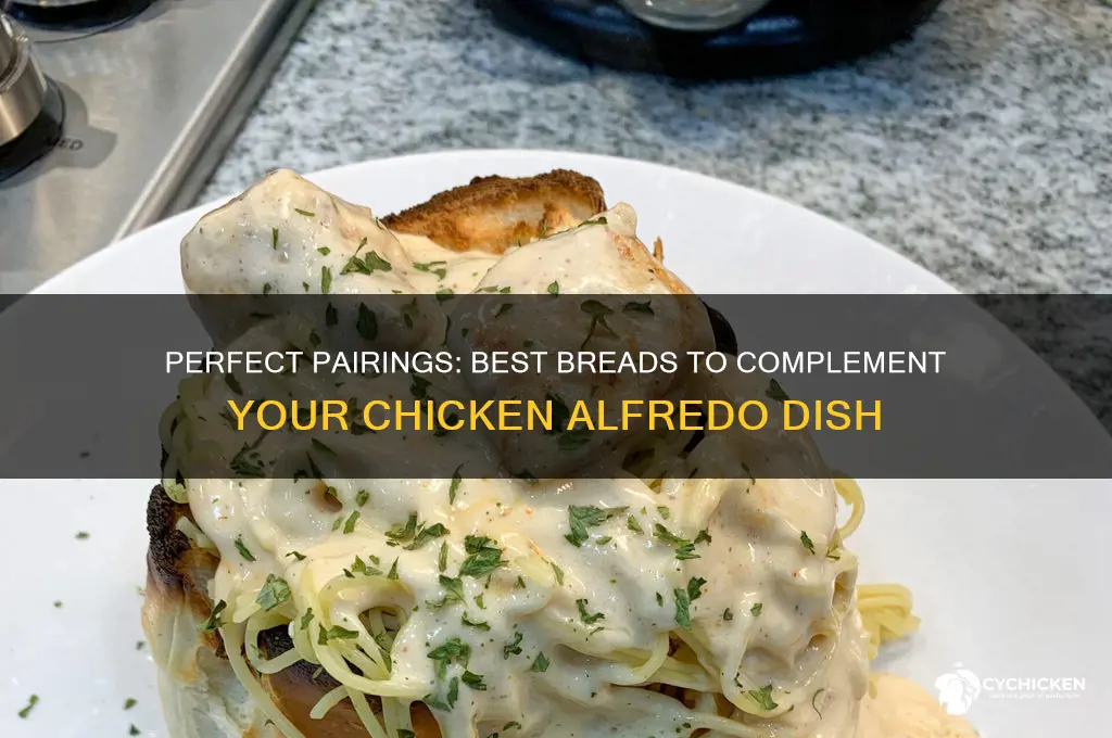 what bread goes well with chicken alfredo